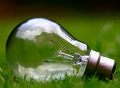 zarowka_trawa Mity i fakty o zmianie sprzedawcy prądu
